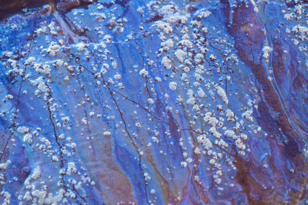 Colorful patterns of a natural substance seeping out on a swampy beach. Sunny day on the coast of...