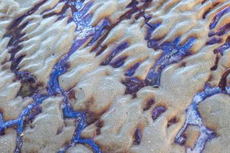 Colorful patterns of a natural substance seeping out on a swampy beach. Sunny day on the coast of...