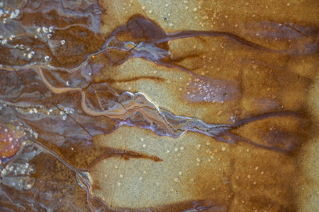 Colorful patterns of a natural oily substance seeping out on a swampy beach. Sunny day on the coast of Baltic Sea, Latvia.の写真素材