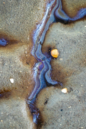 Colorful patterns of a natural oily substance seeping out on a swampy beach. Sunny day on the coast...