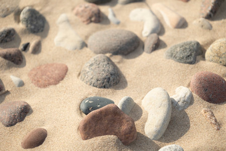 Beautiful dry, smooth pebbles on the beach of Baltic Sea. Sunny summer day in Latvia.の写真素材