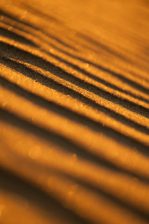 Beautiful sand patterns at the beach of Baltic Sea. Sunny summer evening in Latvia.の写真素材