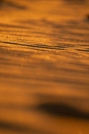 Beautiful sand patterns at the beach of Baltic Sea. Sunny summer evening in Latvia.の写真素材