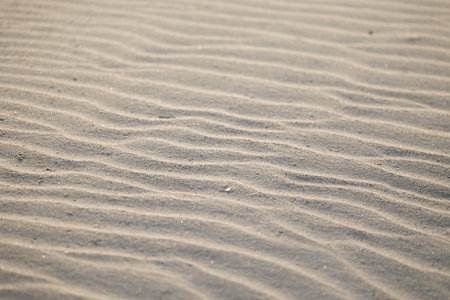 Beautiful sand patterns at the beach of Baltic Sea. Sunny summer evening.の写真素材