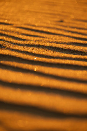 Beautiful sand patterns at the beach of Baltic Sea. Sunny summer evening in Latvia.の写真素材