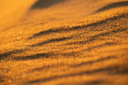 Beautiful sand patterns at the beach of Baltic Sea. Sunny summer evening.の写真素材