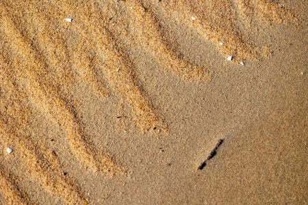 Beautiful sand patterns at the beach of Baltic Sea. Sunny summer evening in Latvia.の写真素材