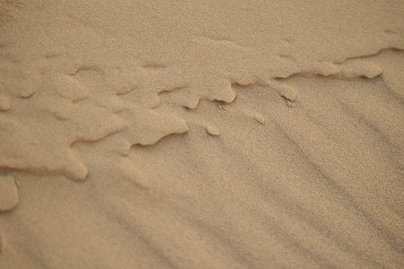 Beautiful sand patterns at the beach of Baltic Sea. Sunny summer evening in Latvia.の写真素材