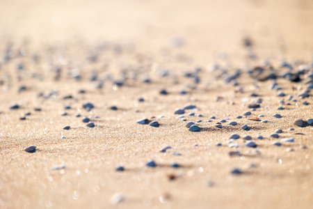 Beautiful Baltic Sea beach scenery with small shells in the sand. Sunny summer day in Latvia.の写真素材