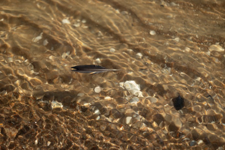 Beautiful sand and water patterns on a sunny beach.
