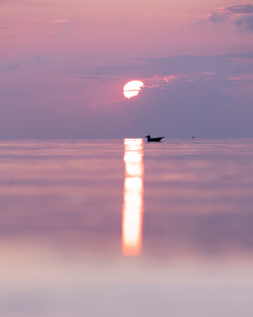 A beautiful summer sunset scenery of Baltic Sea with gulls. Birds in Latvia, Europe.の写真素材