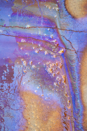 Colorful patterns of a natural oily substance seeping out on a swampy beach. Sunny day on the coast of Baltic Sea, Latva.の写真素材