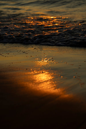 A shallow depth of field photograph of sunset sunrays reflecting in the beach sand. Summer scenery of Baltic Sea coastline in Latvia.の写真素材