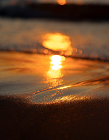 A beautiful shallow depth of field photograph of sunset sunrays reflecting in the beach sand. Summer scenery of Baltic Sea coastline in Latvia.の写真素材