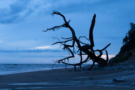 An early morning scenery before sunrise at the beach of Baltic Sea. Summer morning in Latvia,...