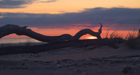 A beautiful pink sunrise over the Baltic Sea. Summer morning at the beach. Latvia, Europe.の写真素材