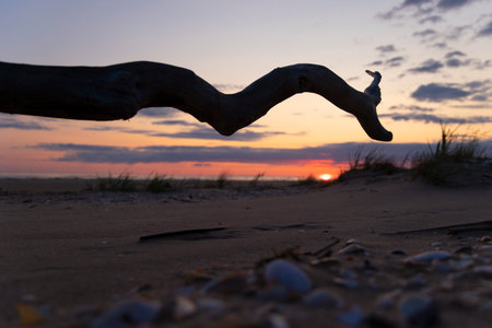 A baeuriful pink sunrise over the Baltic Sea. Summer morning at the beach. Latvia, Europe.の写真素材