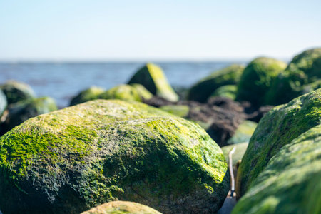 A beautiful Baltic Sea costline scenery during sunny day. A beach in Latvia, Europe.の写真素材
