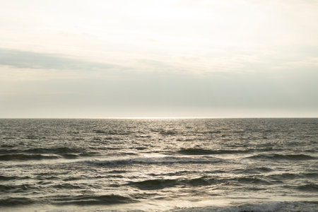 A calm, overcast day at the beach of Baltic Sea. Unpopulated coastline with forest growing in dunes.の写真素材