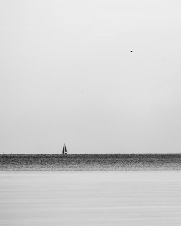 Characteristic details of a Baltic Sea coastline in Latvia. Overcast day at the sea.の写真素材