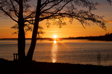 A baeutiful, colorful early spring sunrise over the lake with tree silhouettes. Seasonal landscape of Latvia, Europe.の写真素材