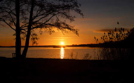 A baeutiful, colorful early spring sunrise over the lake with tree silhouettes. Seasonal landscape of Latvia, Europe.の写真素材