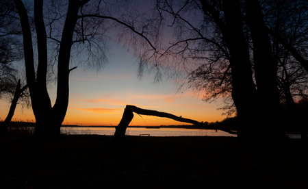 A beautiful, colorful early spring sunrise over the lake with tree silhouettes. Seasonal landscape of Latvia, Europe.の写真素材