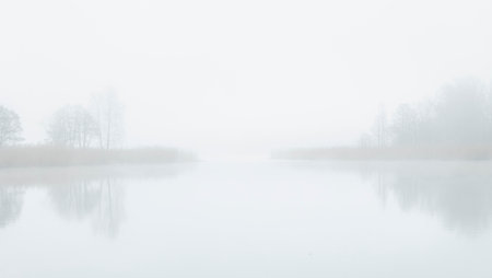 A beautiful foggy landscape with bare trees reflecting in a calm lake surface. Early spring scenery...