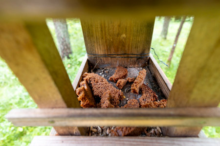 A beautiful bird feeder house in the forest. Seasonal woodlands scenery in Latvia, Europe.の写真素材