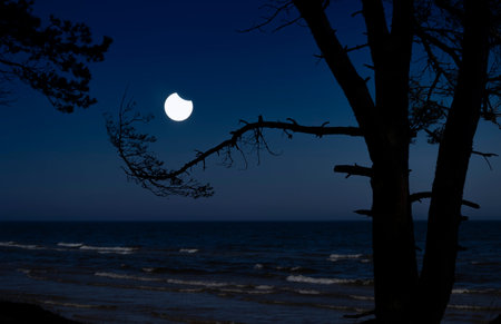 A beautiful partial solar eclipse in the skies over the Baltic Sea with pine tree silhouettes. A summer scenery shot through an ND filter.の写真素材