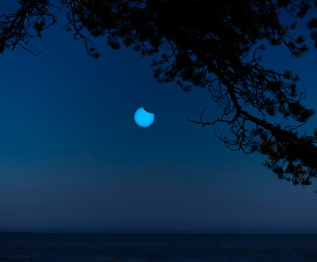A partial solar eclipse in the skies over the Baltic Sea with pine tree silhouettes. A summer scenery shot through an ND filter in Latvia, Europe.の写真素材