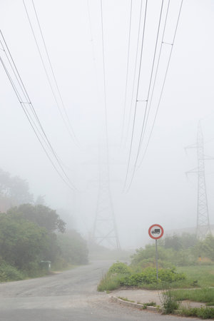 A foggy summer morning with a small path leading through the trees. A seasonal scenery of Latvia, Europe.の写真素材