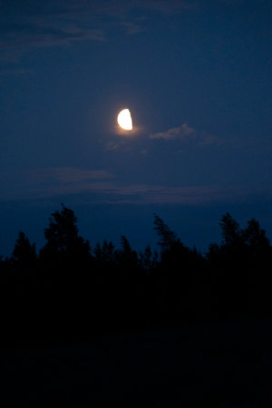 A beautiful moon shining in the night sky over Latvia, Europe. A summer scenery at nighttime.