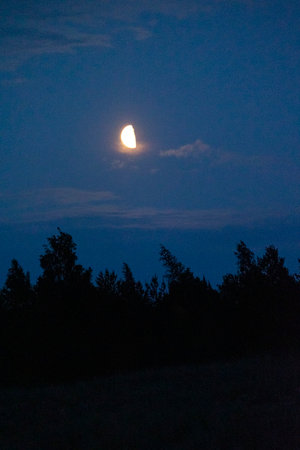 A beautiful moon shining in the night sky over Latvia, Europe. A summer scenery at nighttime.
