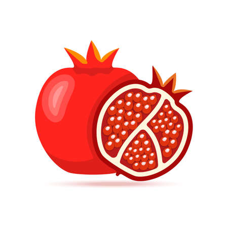 Whole Pomegranate Fruit Vector Icon. Opened Pomegranate Flat Illustration.のイラスト素材