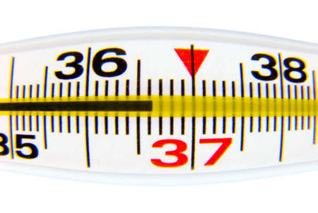 Prominent medical thermometer scale showing normal temperature 36.6