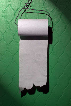 Cheap toilet paper roll on the green wall. You can write your message on it.の写真素材