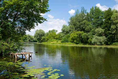 River in Ukraine, water-lily in the foreground