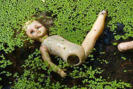 The thrown out doll floats in a bog