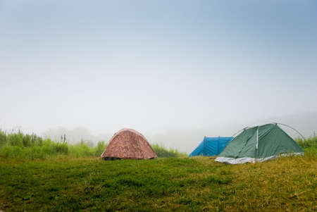 Tourist tents on a grass in a fogの写真素材