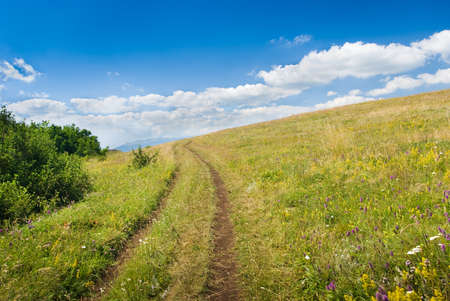 Country road through a meadow with beautiful cloudy sky aboveの写真素材