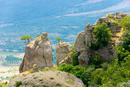 Trees on rocks. Landmark - Ghost Valley, Demerdji, Crimea, Ukraine.の写真素材