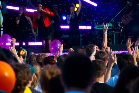 Crowd of fans at a music concert