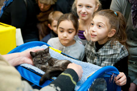 MOSCOW - MARCH 6: Unidentified people visit an international exhibition of cats "Catsburg" on March 6, 2011 in the exhibition hall Crocus-Expo, Moscowのeditorial素材