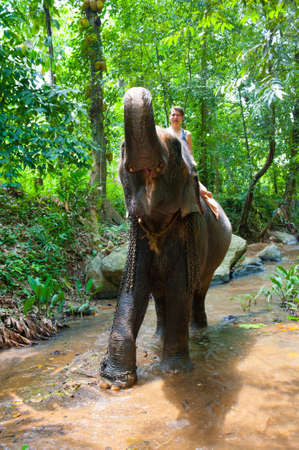 Woman riding on an elephant along the river in the jungleの写真素材