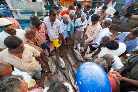 MIRISSA BAY, SRI LANKA - APRIL 10: Fishermen sell fresh ocean fish at the market in Mirissa Bay, Sri Lanka on April 10, 2012. Seafood is one of the main source of food for local people.のeditorial素材