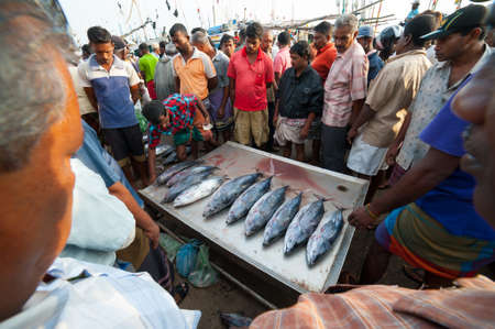 MIRISSA, SRI LANKA - APRIL 10: Fishermen returned to their work in Mirissa, Sri Lanka on April 10, 2012. In 2008 USAID finalize a $12.7 million repair of fishing harbor affected by tsunami in Mirissa.のeditorial素材