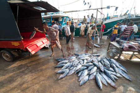 MIRISSA, SRI LANKA - APRIL 10: Fishermen returned to their work in Mirissa, Sri Lanka on April 10, 2012. In 2008 USAID finalize a $12.7 million repair of fishing harbor affected by tsunami in Mirissa.のeditorial素材