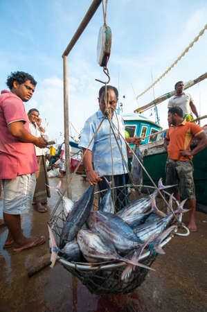 MIRISSA, SRI LANKA - APRIL 10: Fishermen returned to their work in Mirissa, Sri Lanka on April 10, 2012. In 2008 USAID finalize a $12.7 million repair of fishing harbor affected by tsunami in Mirissa.のeditorial素材