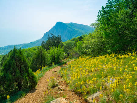 Summer mountain landscape in Crimea, Ukraineの写真素材